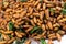 Fried cocoon : Silkworm with herb