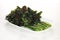 fried cooked green vegetables called kailan are served on a white plate.  on solid white background