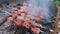 Fried cuts of meat on metal skewers are slowly cooked on hot coals