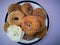 Fried Donuts homemade and white flower