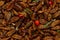 Fried edible insects background