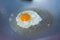 A fried egg with oil on pan.