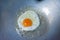 A fried egg with oil on pan.