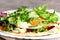 Fried egg, salad mix, hummus, parsley on a tortilla. Quick tortilla on a plate. Yummy and hearty food to eat for breakfast