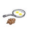 Fried egg simple image. food image.