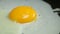 Fried eggs on ceramic frying pan with oil FullHD footage