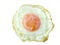 Fried eggs and egg yolks are not beautifully cooked on a white background.