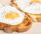 Fried Eggs on Toast