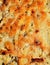Fried greasy potato pancake texture. Close-up detail
