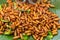 Fried insects crispy silk worm