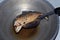 Fried Mackerel fish in a pan with hot boiling oil, Salted Mackerel fish Fried foods