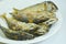 Fried mackerels