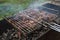 Fried meat on the grill on the grill in nature. We will have a picnic in the air. Close-up