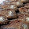 Fried nile tilapia or oreochromis nilotica fish