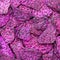 Fried purple sweet dragon fruit chips as snacks, close up, asian food