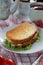 Fried sandwich with cheese, lettuce and tomatoes
