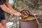 Fried sausages in bean soup