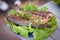 Fried sea bass on a plate with greens