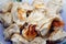 Fried seasoning pelmeni from herbs, hot lie in a plate on a table.