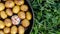 Fried small potatoes in a pan lies on the grass