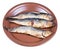 Fried sprat on ceramic plate