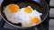 Fried three eggs fried in a pan