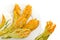 Fried zucchini flowers isolated