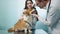 Friendly calm orange furry pet friend at modern veterinary clinic check up visit