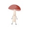 Friendly cartoon character of forest mushroom flat vector illustration isolated.
