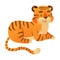 Friendly cute baby tiger jungle wild animal cartoon vector illustration