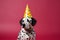 Friendly and cute Dalmatian wearing a birthday party hat in studio, on a vibrant, colorful background. Generative AI