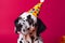 Friendly and cute Dalmatian wearing a birthday party hat in studio, on a vibrant, colorful background. Generative AI