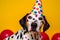 Friendly and cute Dalmatian wearing a birthday party hat in studio, on a vibrant, colorful background. Generative AI