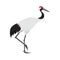 Friendly cute red-crowned or Japanese crane icon, colorful wild bird