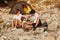 Friendly family, sitting near tent on stone seacoast at daytime.