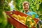 Friendly farmer at work in greenhouse