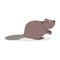 Friendly forest animal, cute brown beaver icon isolated