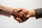 Friendly Handshake on a Clean White Background.