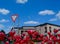 friendly outdoor shopping plaza detail with red tulips