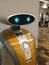 Friendly robot and Changi Airport Singapore