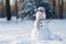 A friendly snowman smiling in a calm winter landscape