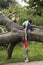 Friends Climbing On Fallen Tree