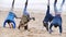 Friends Doing Handstands On A Winter Beach