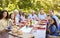 Friends and family having lunch in garden, looking to camera