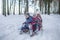 Friends have fun in wonderland, three kids sit on a sledge in snow-covered winter forest