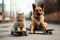 friends skateboarders a cat and a dog ride down street together on skateboards in summer. Generative AI