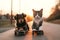 friends skateboarders a cat and dog ride skateboards together at sunset in summer. Generative AI