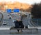 Friendship on a bench above highways