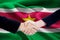 Friendship handshake with flag of Suriname