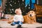 Friendship man child and dog pet. Theme Christmas New Year Winter Holidays. Baby boy on the floor decorated tree and best friend